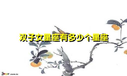 双子女星座有多少个星座