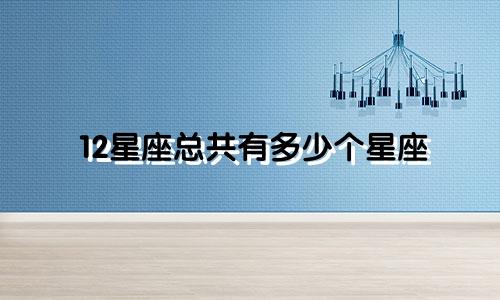 12星座总共有多少个星座