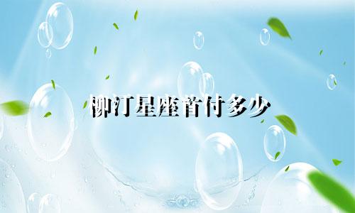 柳汀星座首付多少