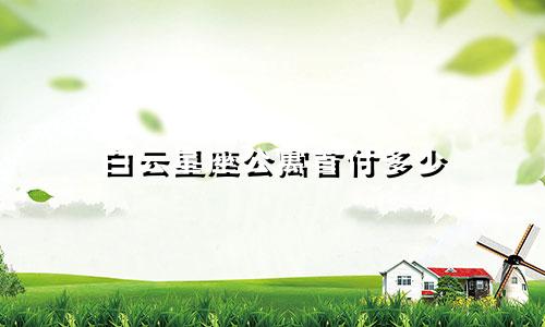 白云星座公寓首付多少