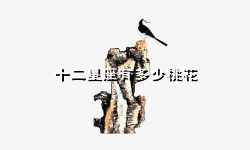 十二星座有多少桃花