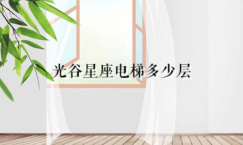 光谷星座电梯多少层