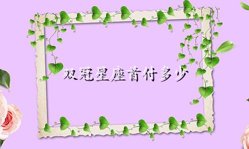 双冠星座首付多少