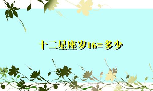 十二星座岁16=多少