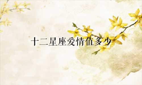 十二星座爱情值多少