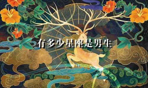 有多少星座是男生