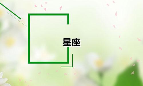 星座 表带 多少钱