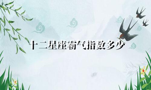 十二星座霸气指数多少