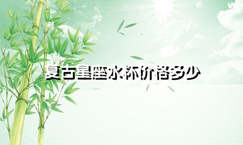 复古星座水杯价格多少