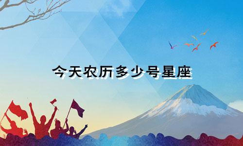 今天农历多少号星座