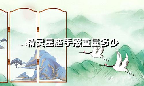 精灵星座手感重量多少