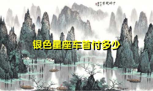 银色星座车首付多少