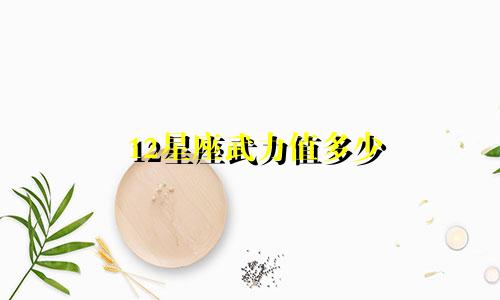 12星座武力值多少