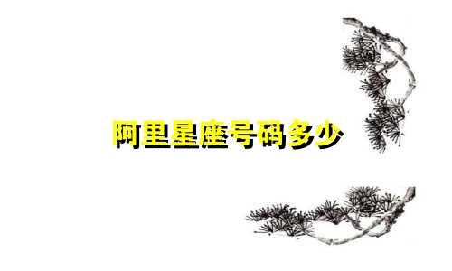 阿里星座号码多少