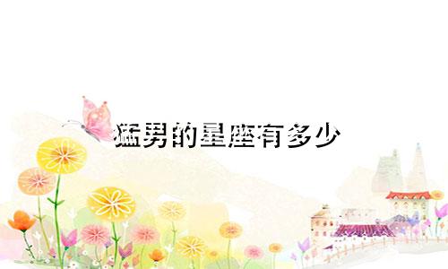 猛男的星座有多少