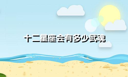 十二星座会有多少武魂