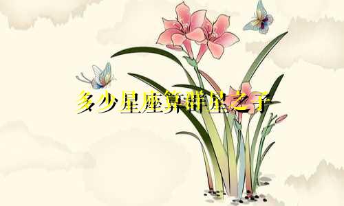 多少星座算群星之子