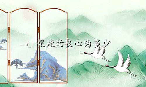 星座的良心为多少