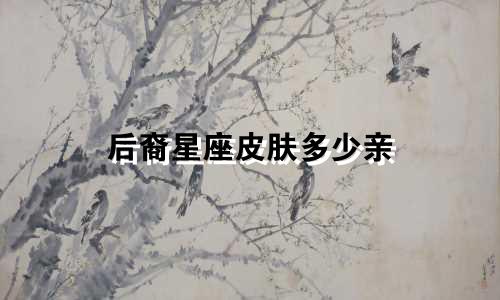 后裔星座皮肤多少亲