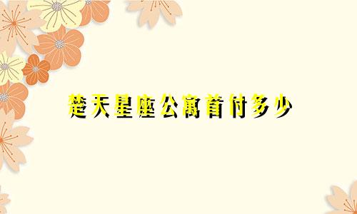 楚天星座公寓首付多少