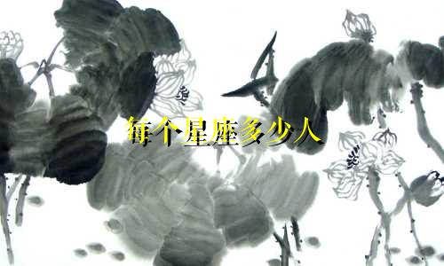 每个星座多少人
