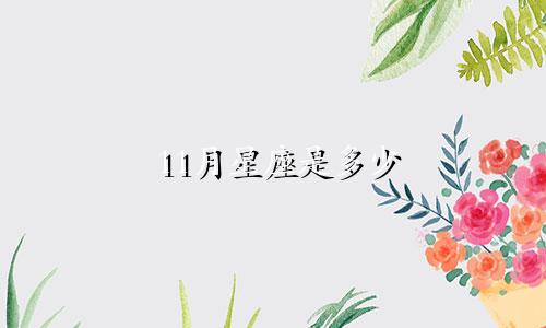 11月星座是多少