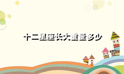 十二星座长大重量多少