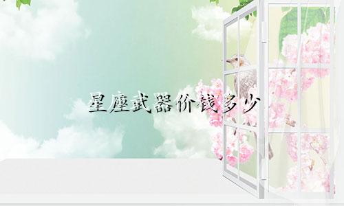 星座武器价钱多少