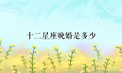 十二星座晚婚是多少