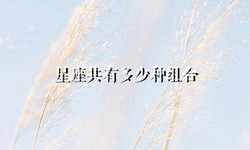 星座共有多少种组合
