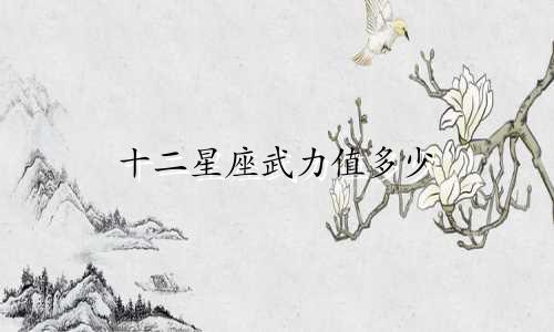 十二星座武力值多少