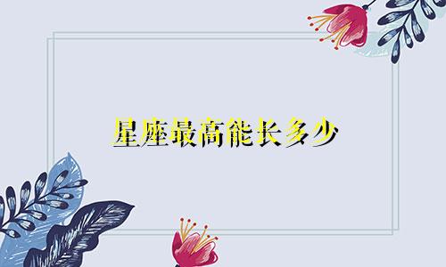 星座最高能长多少