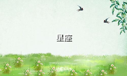 星座 眼睛直多少元