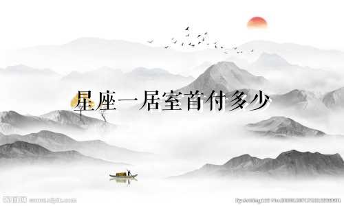 星座一居室首付多少