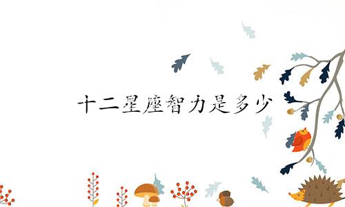 十二星座智力是多少