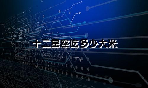 十二星座吃多少大米