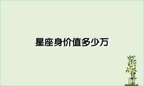 星座身价值多少万