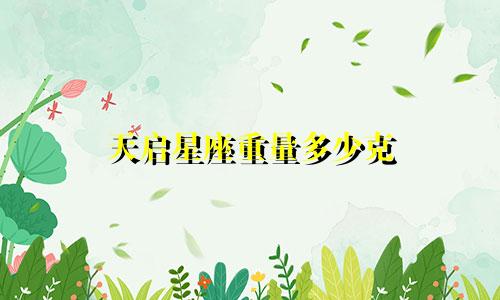 天启星座重量多少克