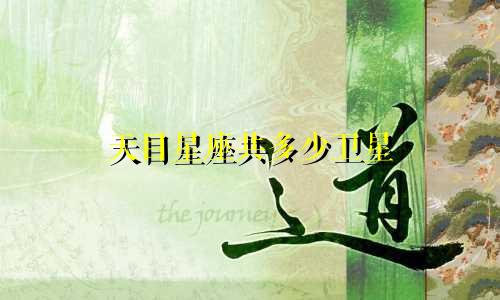 天目星座共多少卫星