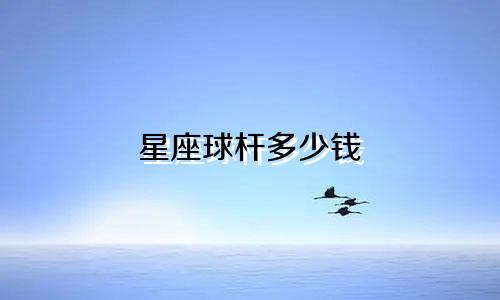 星座球杆多少钱