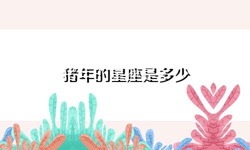 猪年的星座是多少