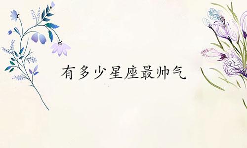 有多少星座最帅气