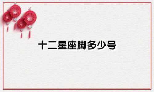 十二星座脚多少号