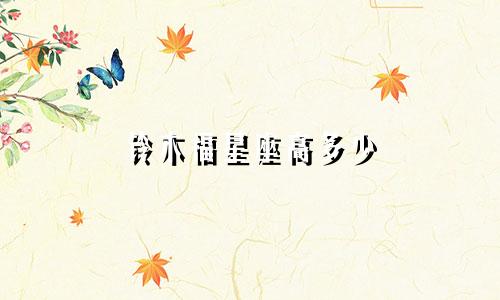 铃木福星座高多少