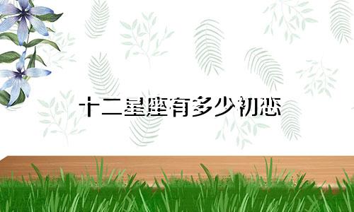 十二星座有多少初恋