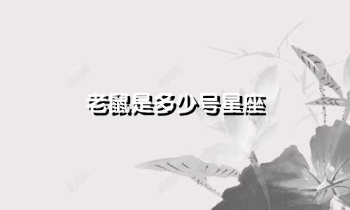 老鼠是多少号星座