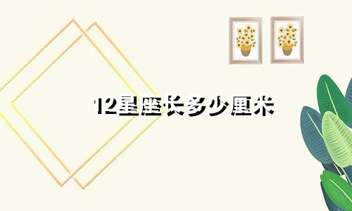 12星座长多少厘米