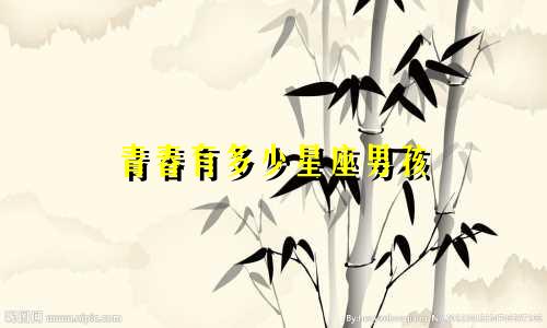 青春有多少星座男孩