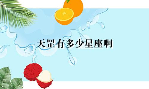 天罡有多少星座啊
