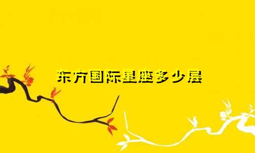 东方国际星座多少层